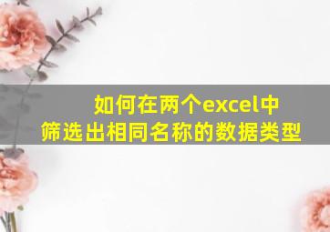 如何在两个excel中筛选出相同名称的数据类型