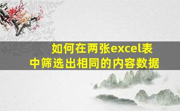 如何在两张excel表中筛选出相同的内容数据