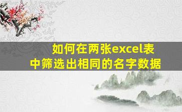 如何在两张excel表中筛选出相同的名字数据