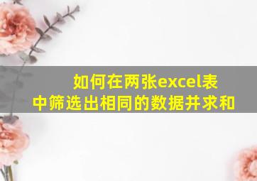 如何在两张excel表中筛选出相同的数据并求和