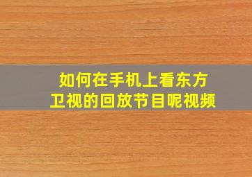 如何在手机上看东方卫视的回放节目呢视频