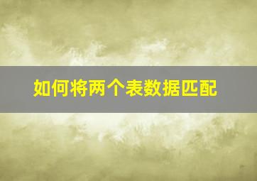 如何将两个表数据匹配