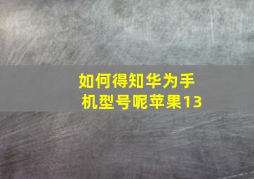 如何得知华为手机型号呢苹果13