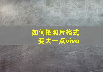 如何把照片格式变大一点vivo