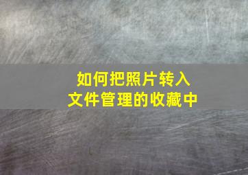 如何把照片转入文件管理的收藏中