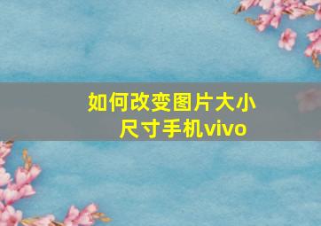 如何改变图片大小尺寸手机vivo