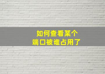 如何查看某个端口被谁占用了