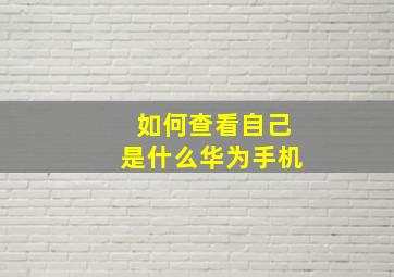 如何查看自己是什么华为手机