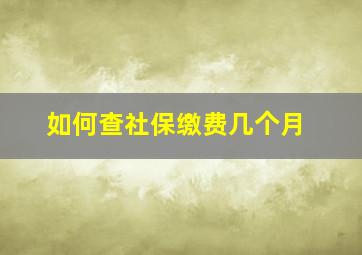 如何查社保缴费几个月