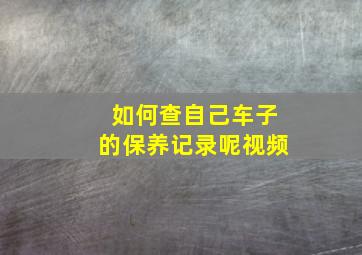 如何查自己车子的保养记录呢视频