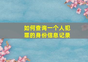 如何查询一个人犯罪的身份信息记录