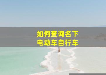 如何查询名下电动车自行车