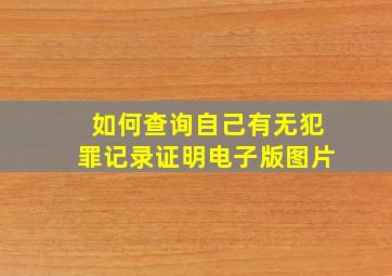 如何查询自己有无犯罪记录证明电子版图片