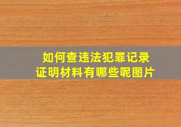 如何查违法犯罪记录证明材料有哪些呢图片