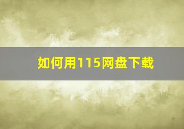 如何用115网盘下载