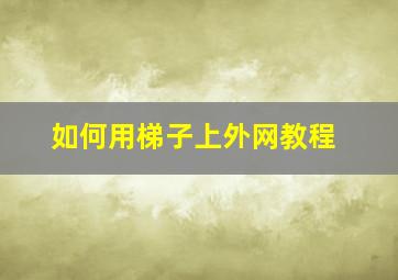 如何用梯子上外网教程