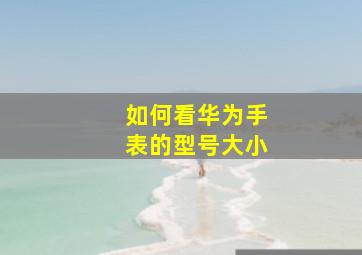 如何看华为手表的型号大小