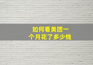 如何看美团一个月花了多少钱