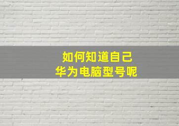 如何知道自己华为电脑型号呢