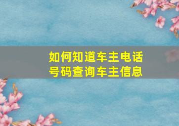 如何知道车主电话号码查询车主信息