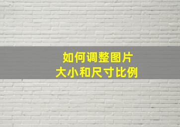 如何调整图片大小和尺寸比例