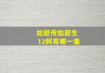 如懿传如懿生12阿哥哪一集