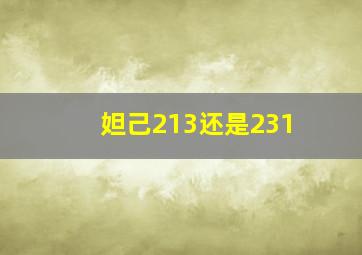 妲己213还是231