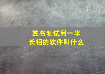 姓名测试另一半长相的软件叫什么