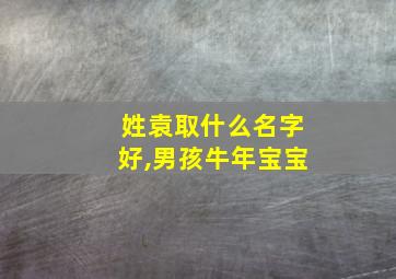 姓袁取什么名字好,男孩牛年宝宝