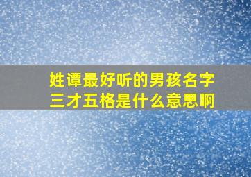 姓谭最好听的男孩名字三才五格是什么意思啊