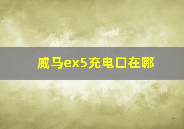 威马ex5充电口在哪