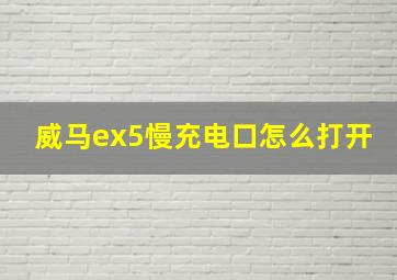 威马ex5慢充电口怎么打开