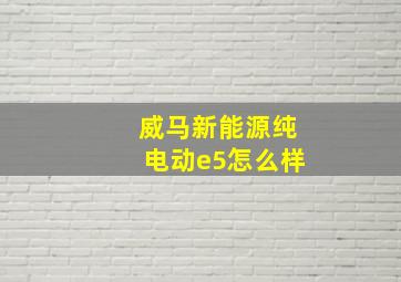 威马新能源纯电动e5怎么样