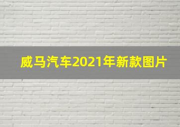 威马汽车2021年新款图片