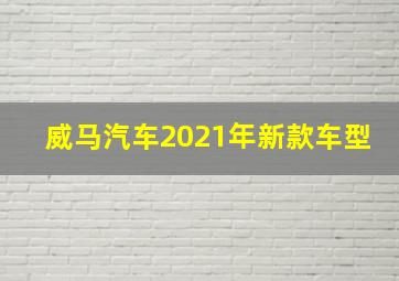 威马汽车2021年新款车型