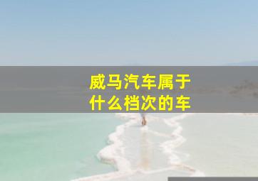 威马汽车属于什么档次的车