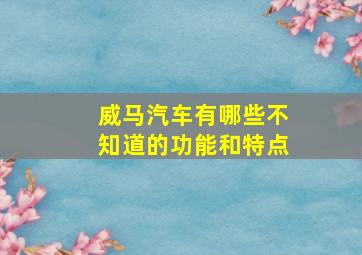 威马汽车有哪些不知道的功能和特点