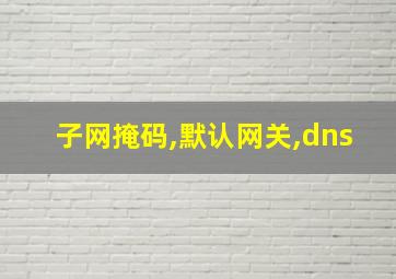 子网掩码,默认网关,dns