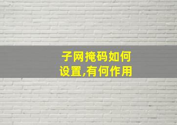 子网掩码如何设置,有何作用