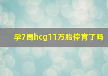 孕7周hcg11万胎停育了吗