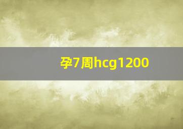 孕7周hcg1200