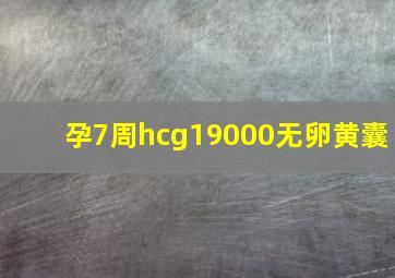 孕7周hcg19000无卵黄囊