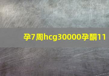 孕7周hcg30000孕酮11