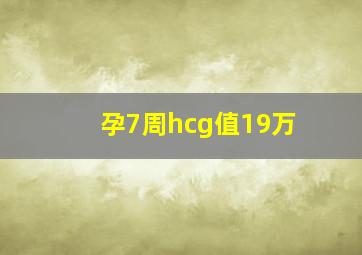 孕7周hcg值19万