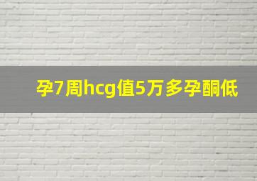 孕7周hcg值5万多孕酮低