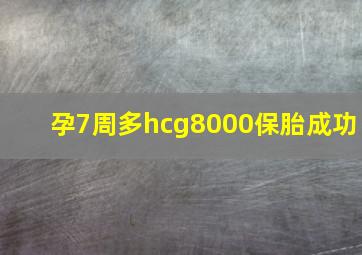 孕7周多hcg8000保胎成功