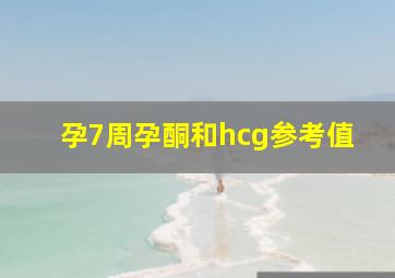 孕7周孕酮和hcg参考值