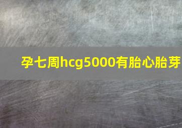 孕七周hcg5000有胎心胎芽