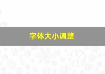 字体大小调整