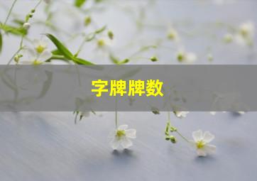 字牌牌数